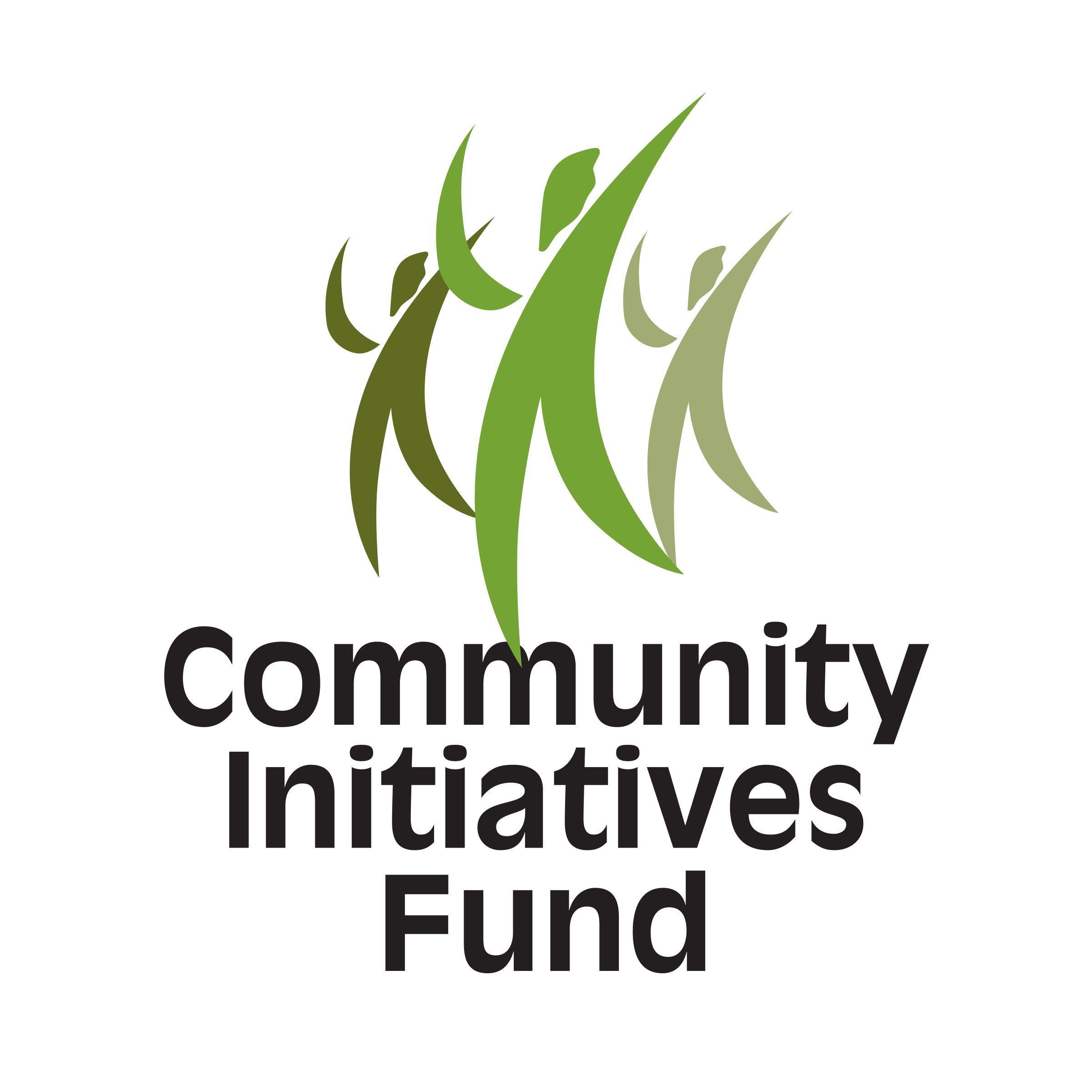 Community Initiatives Fund Logo